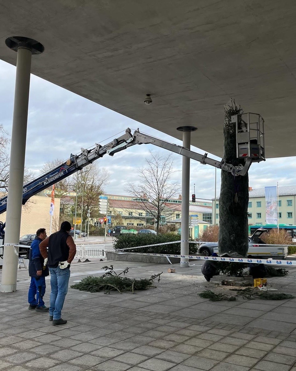 Ein Kran schneidet die Spitze eines Baumes, während zwei Männer am Boden zusehen.