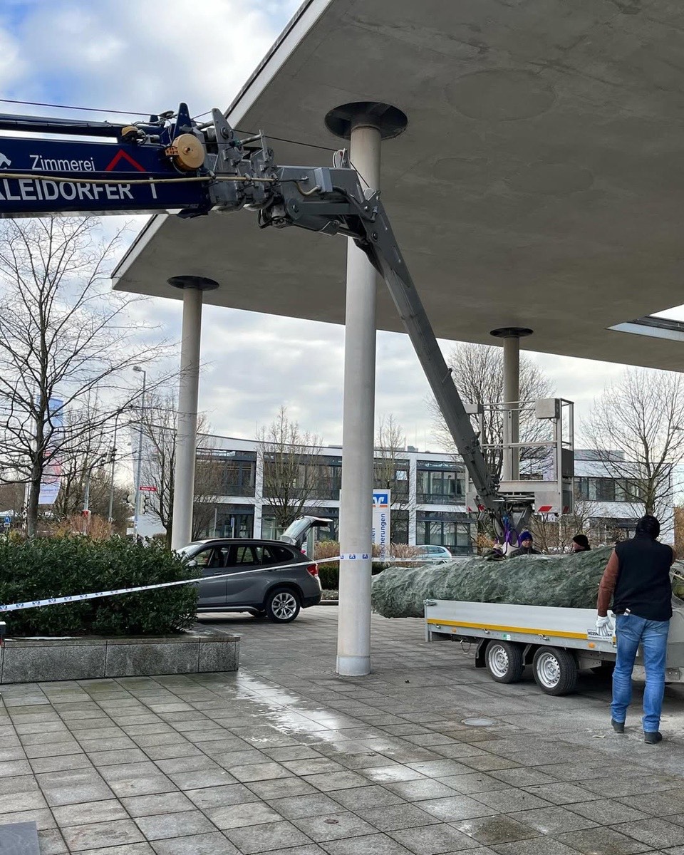 Ein blauer Kran mit der Aufschrift „ZIMMEREI KLEIDORFER“ hebt einen großen verpackten Weihnachtsbaum von einem Anhänger.